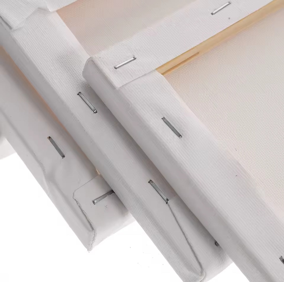 Lot de 5 Panneaux de Toile en Coton Blanc