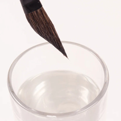 🌿 Pinceau à Peinture Aquarelle Poils d'Écureuil Mélangés, Manche en Bois Noir